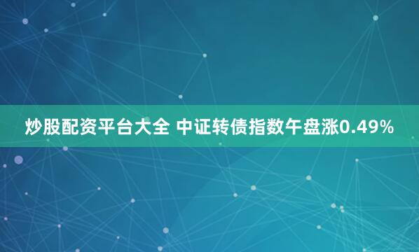 炒股配资平台大全 中证转债指数午盘涨0.49%