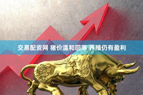 交易配资网 猪价温和回落 养殖仍有盈利